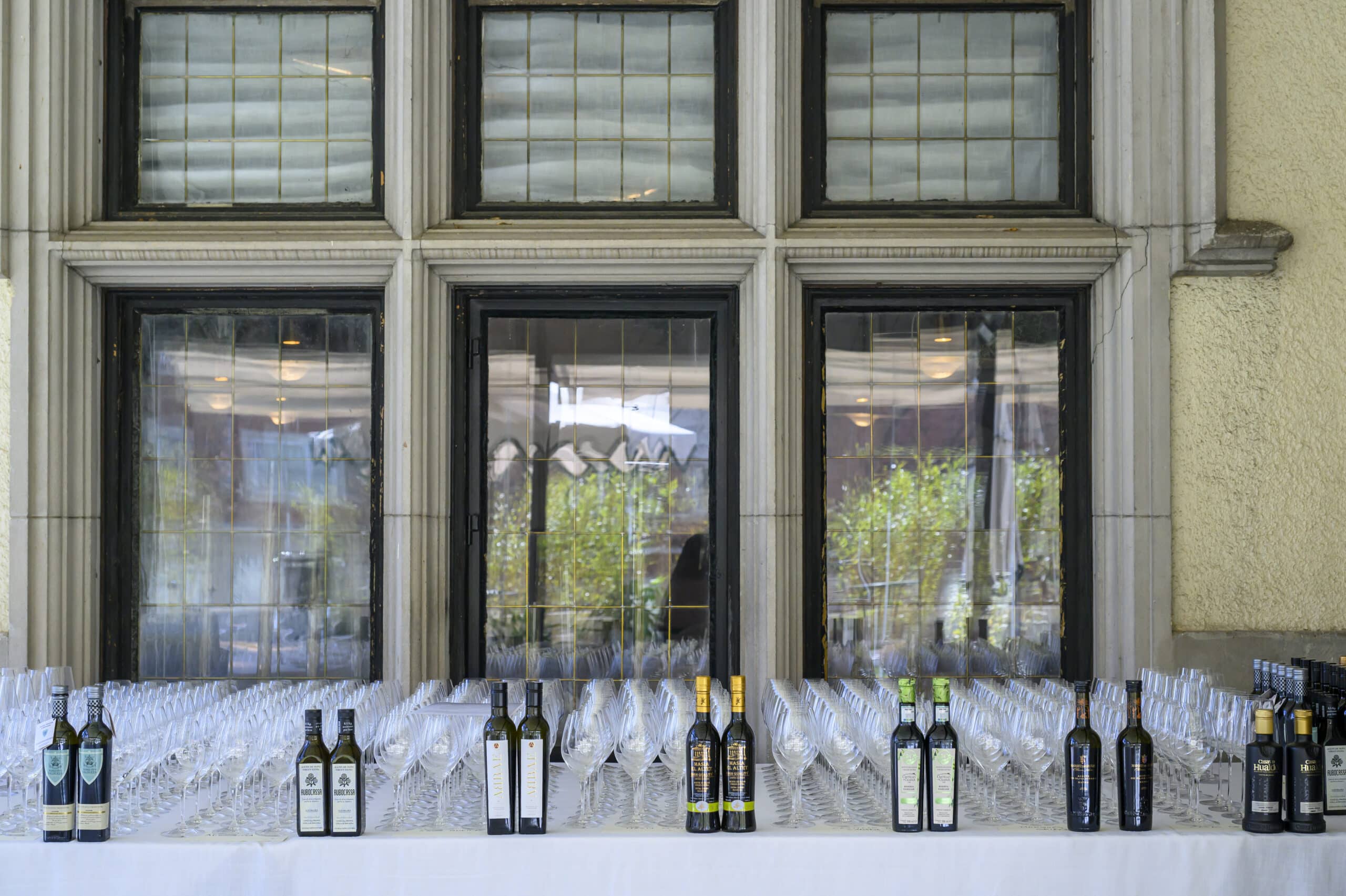 1 Presentacion cosecha 2025 26 Bancal Grandes Pagos Olivar 0081 scaled