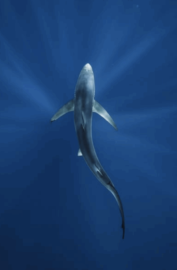 514507b8 d30e af19 4d3b 3b21552dcbf7