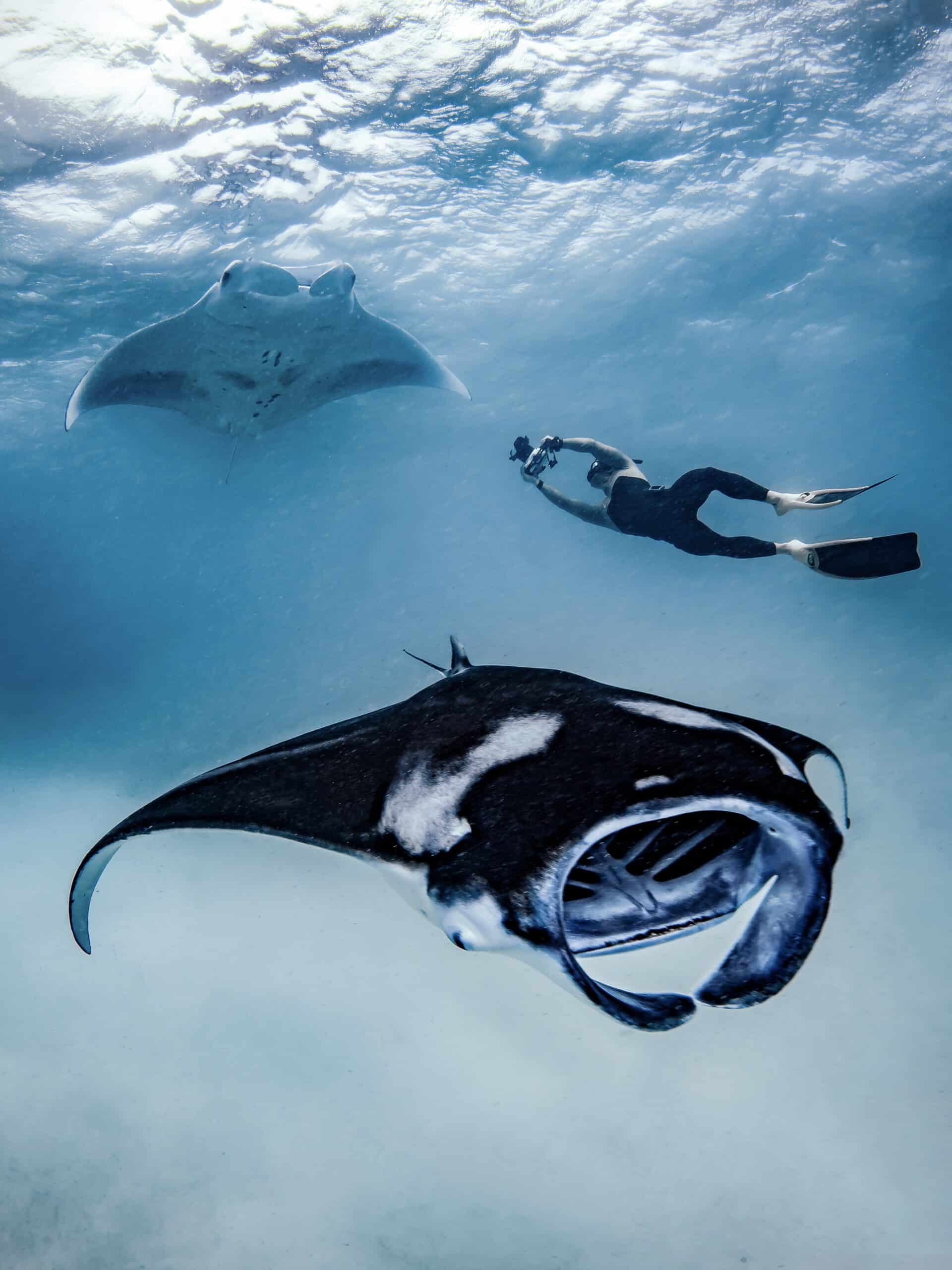 52b34cff 36dd 085a bee3 c8ed0ac057d7 scaled