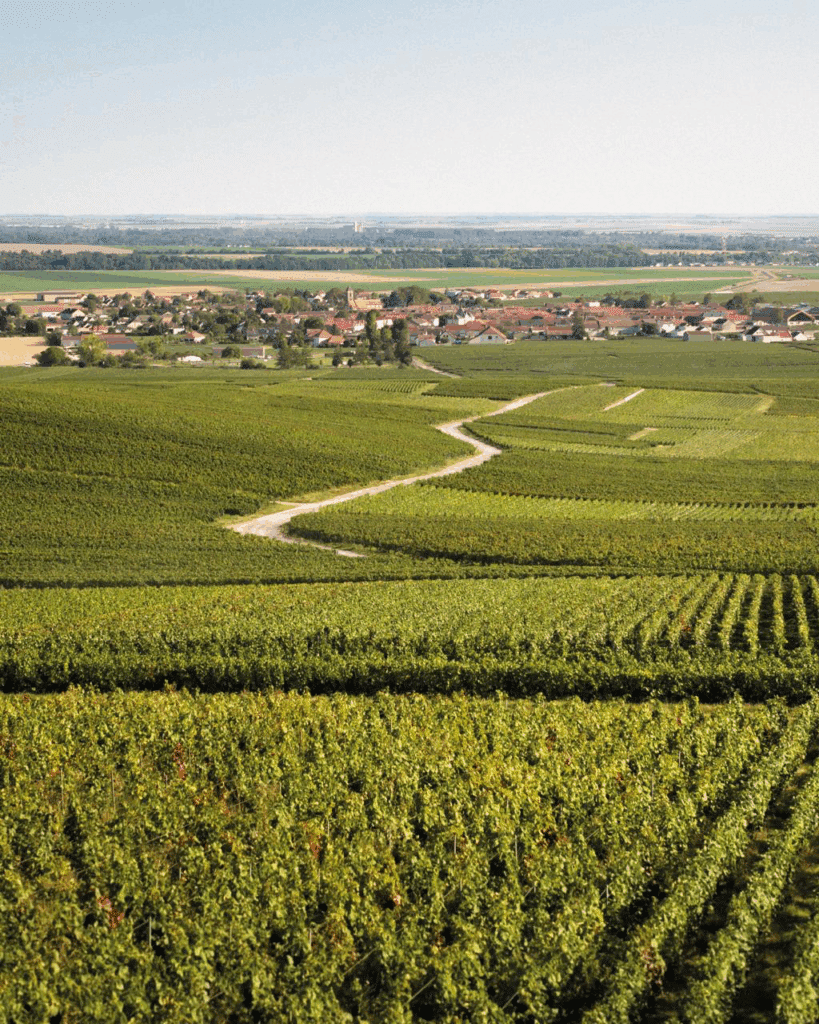 733DA8F0 6ABA 4358 8A22 3924F1726FBA