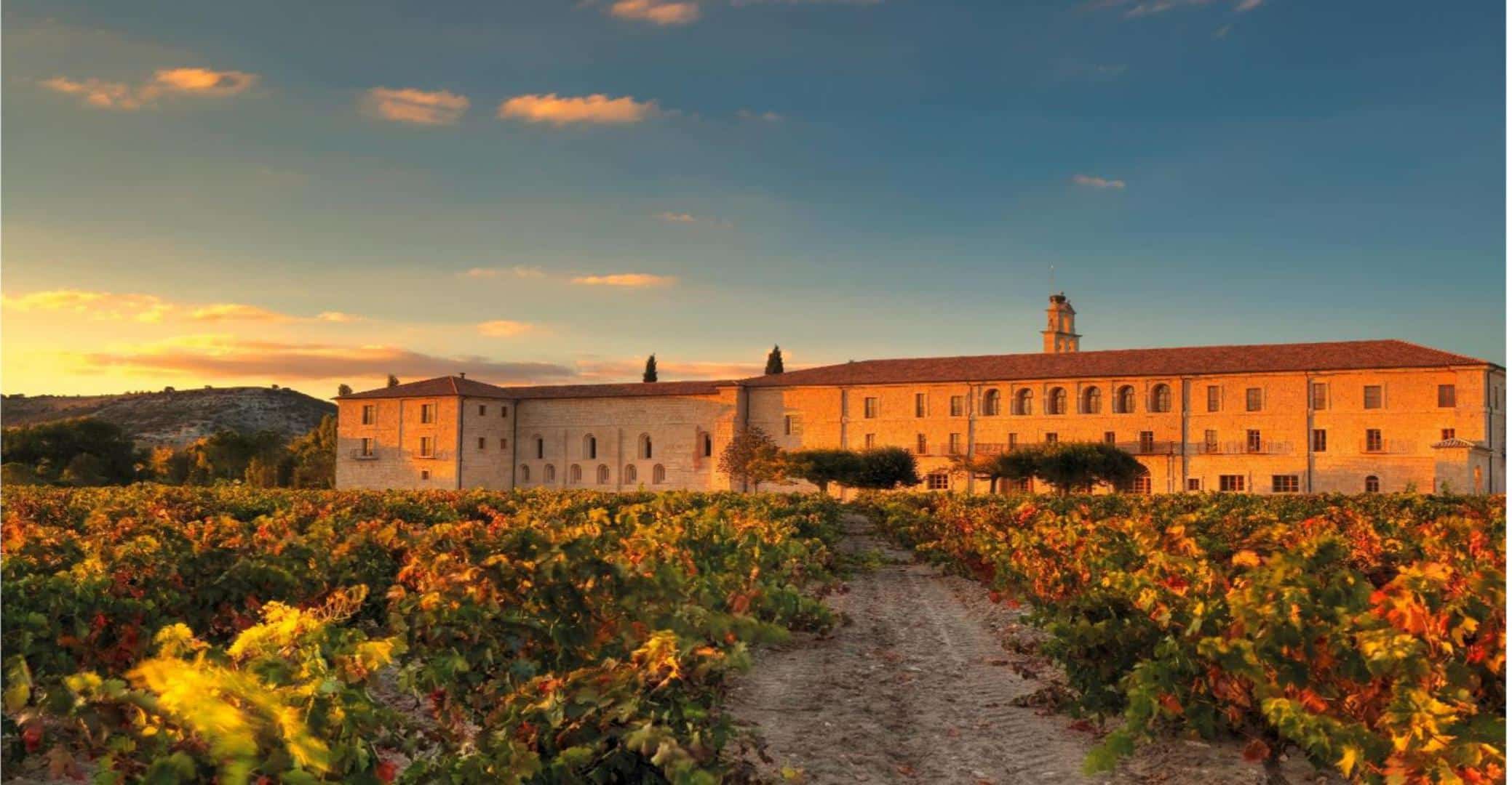 Aerea otono Abadia Retuerta