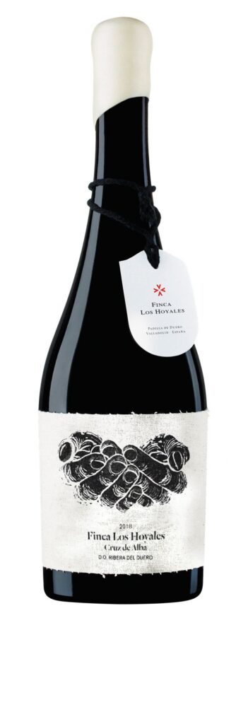 WhatsApp Image 2026 02 10 at 11.13.29 1