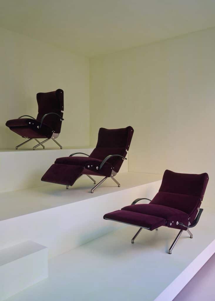 WhatsApp Image 2026 02 12 at 17.46.37 1