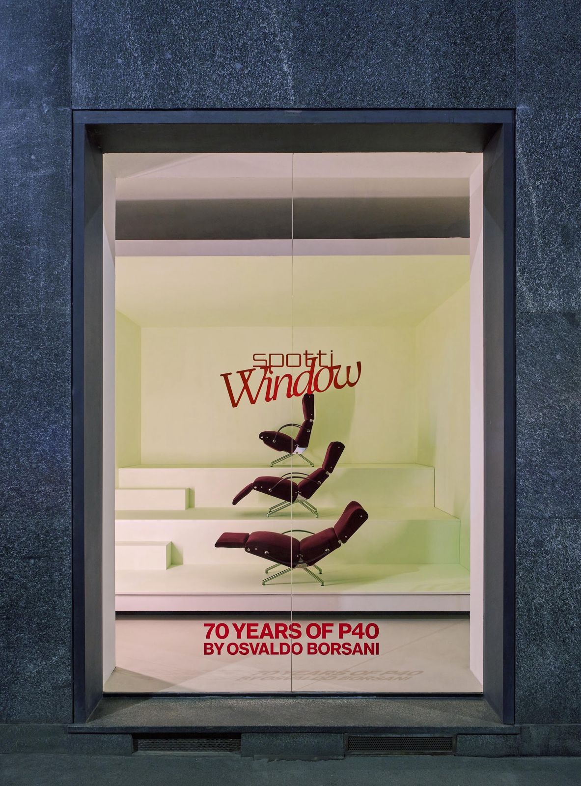 WhatsApp Image 2026 02 12 at 17.46.37