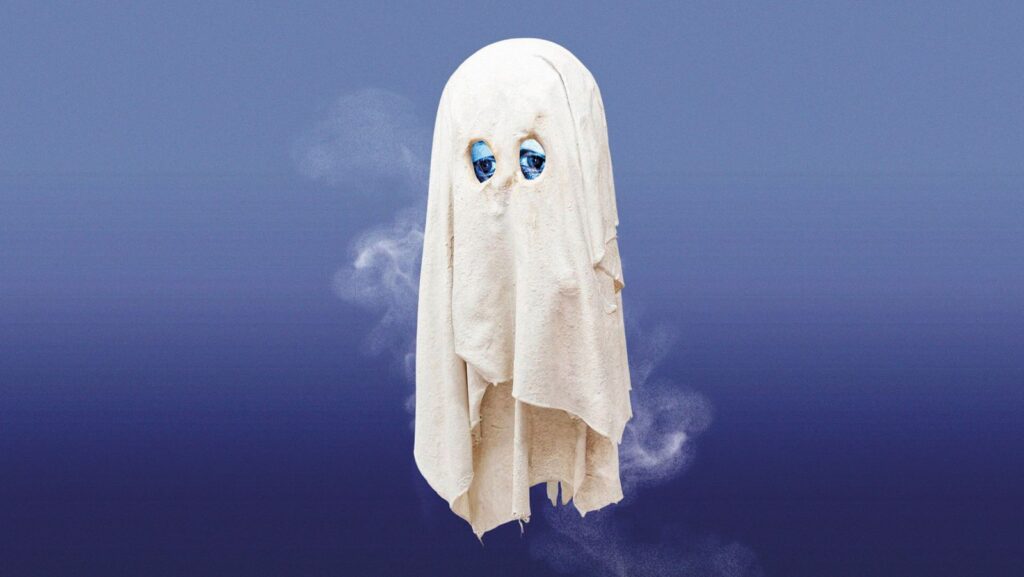 WhatsApp Image 2026 02 12 at 17.48.47 1