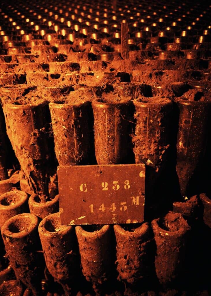 WhatsApp Image 2026 02 13 at 14.03.54 1