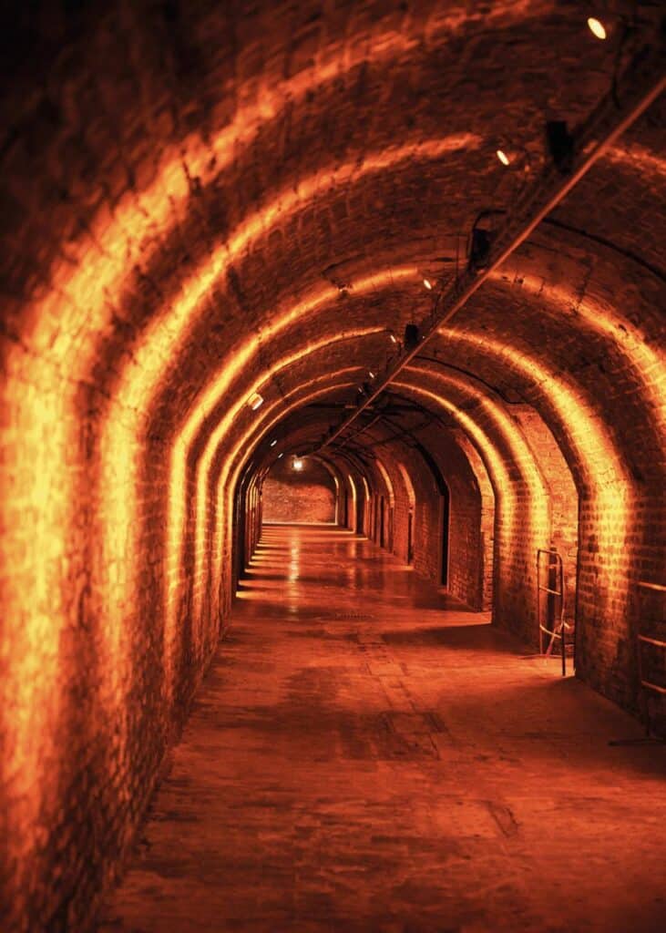 WhatsApp Image 2026 02 13 at 14.03.55