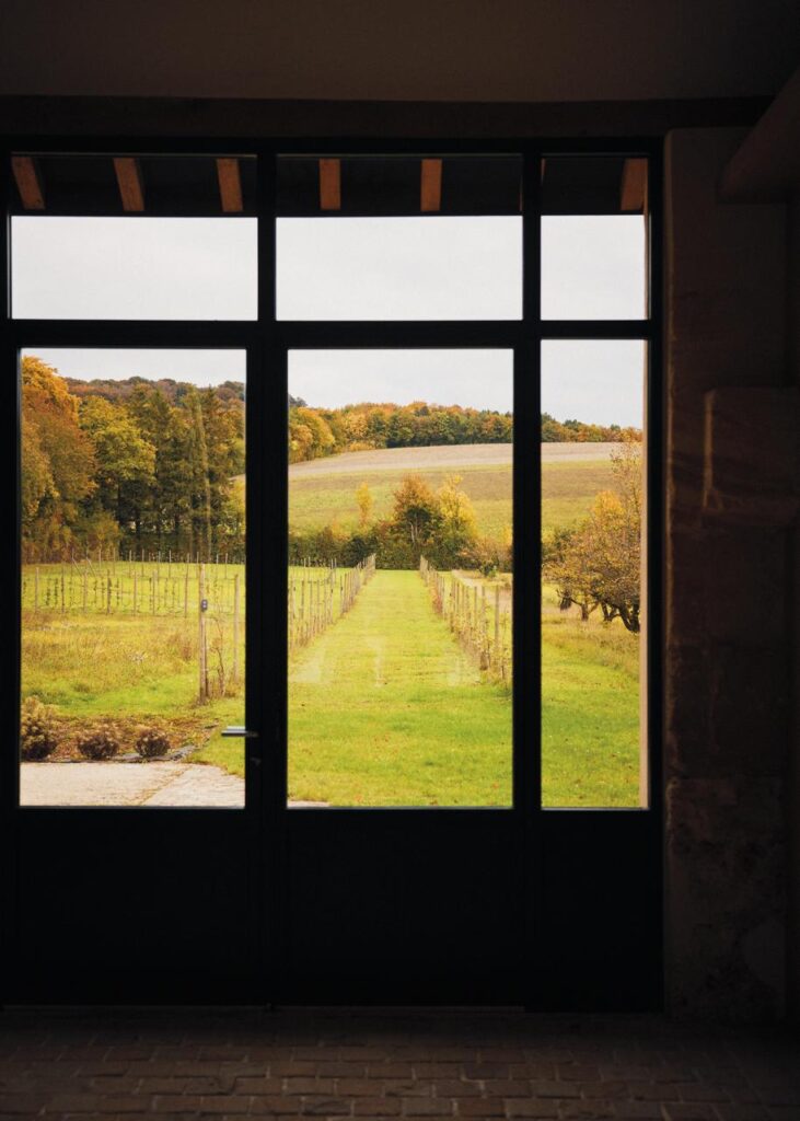 WhatsApp Image 2026 02 13 at 14.03.57