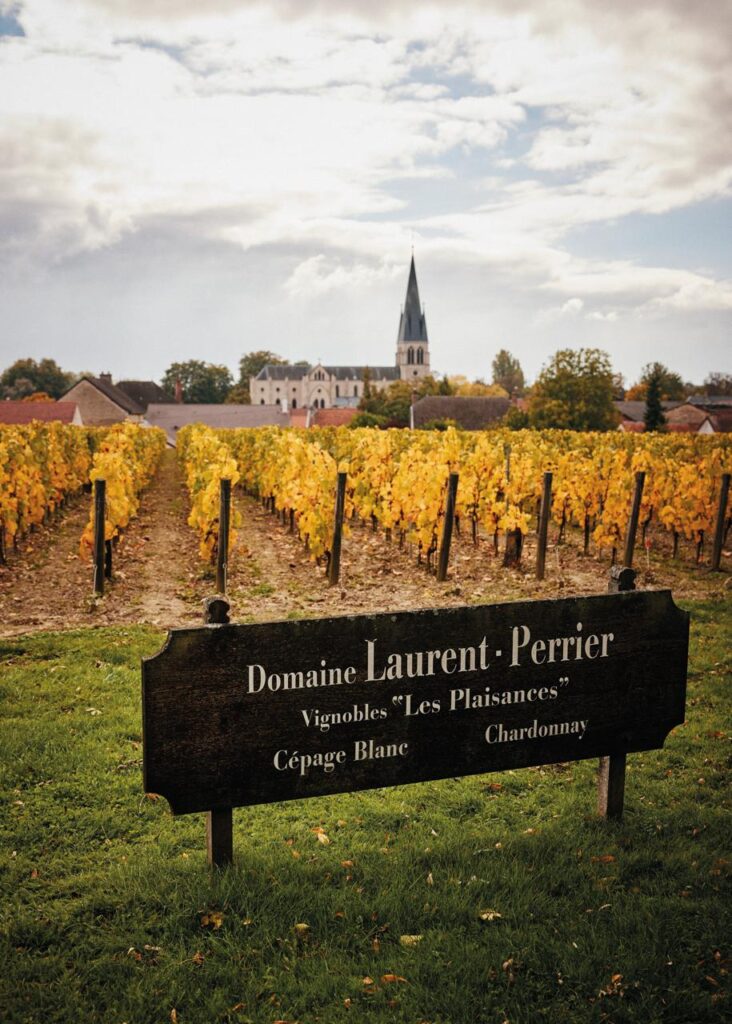 WhatsApp Image 2026 02 13 at 14.03.58