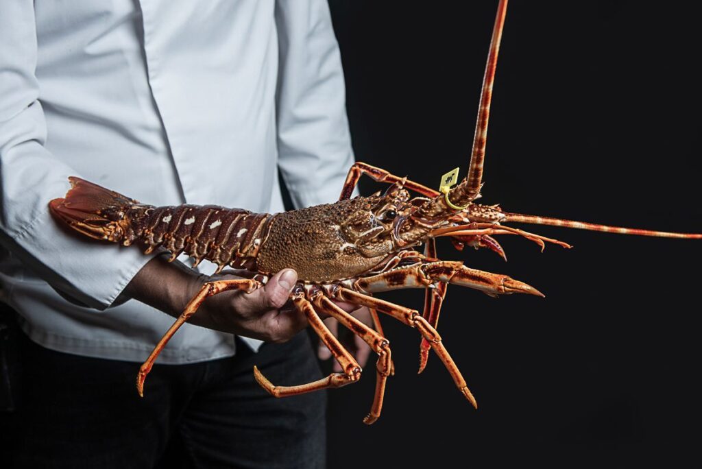 Mariscos sin prisa 2 WhatsApp Image 2026 02 17 at 13.16.41