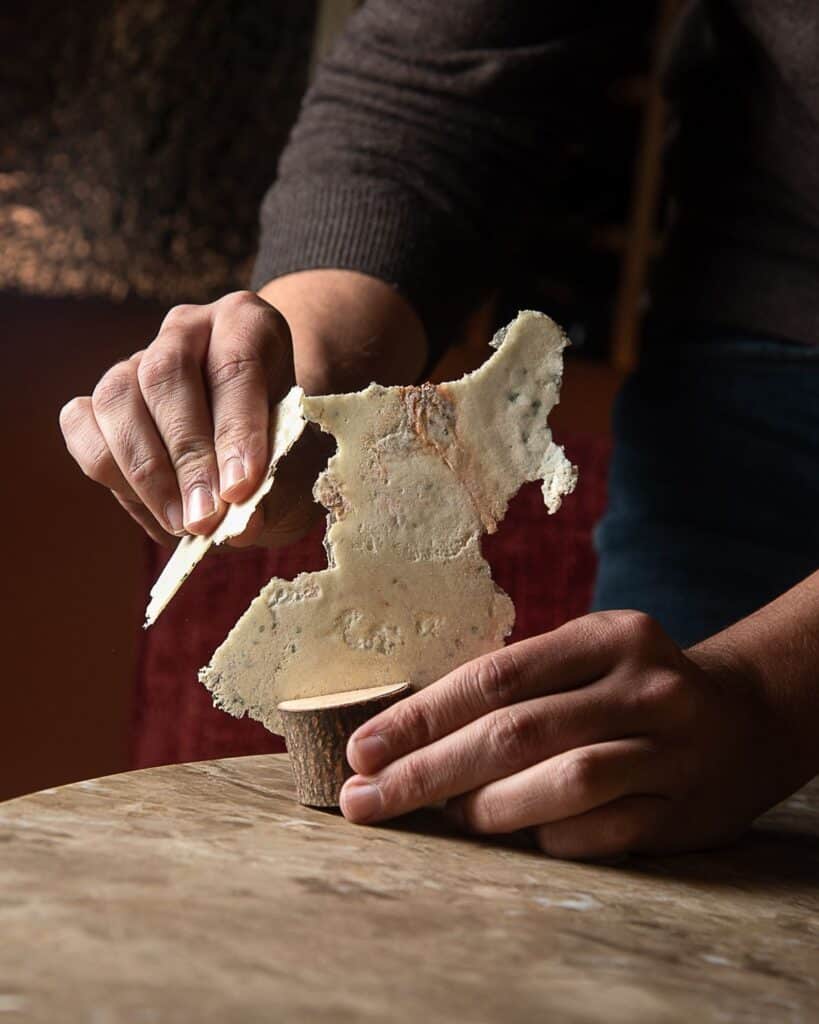 Mariscos sin prisa 3 WhatsApp Image 2026 02 17 at 13.16.42