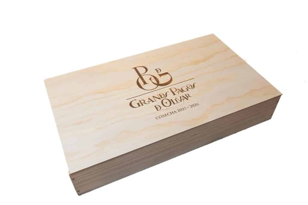 Siete territorios, una misma exigencia 4 WhatsApp Image 2026 02 17 at 13.26.14 1