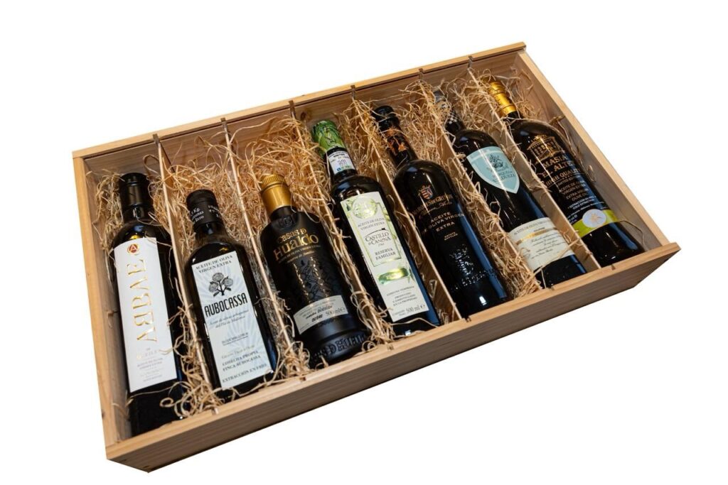 Siete territorios, una misma exigencia 3 WhatsApp Image 2026 02 17 at 13.26.14 2