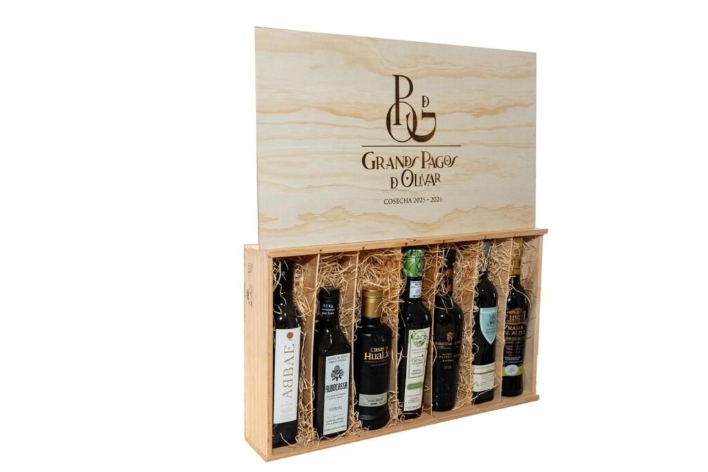 Siete territorios, una misma exigencia 5 WhatsApp Image 2026 02 17 at 13.26.15