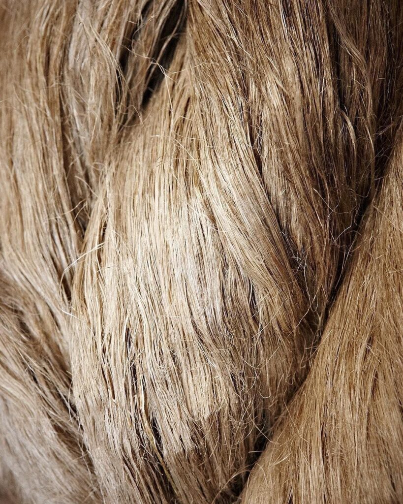 La adaptabilidad del traje de lino 3 WhatsApp Image 2026 02 17 at 13.29.04 1