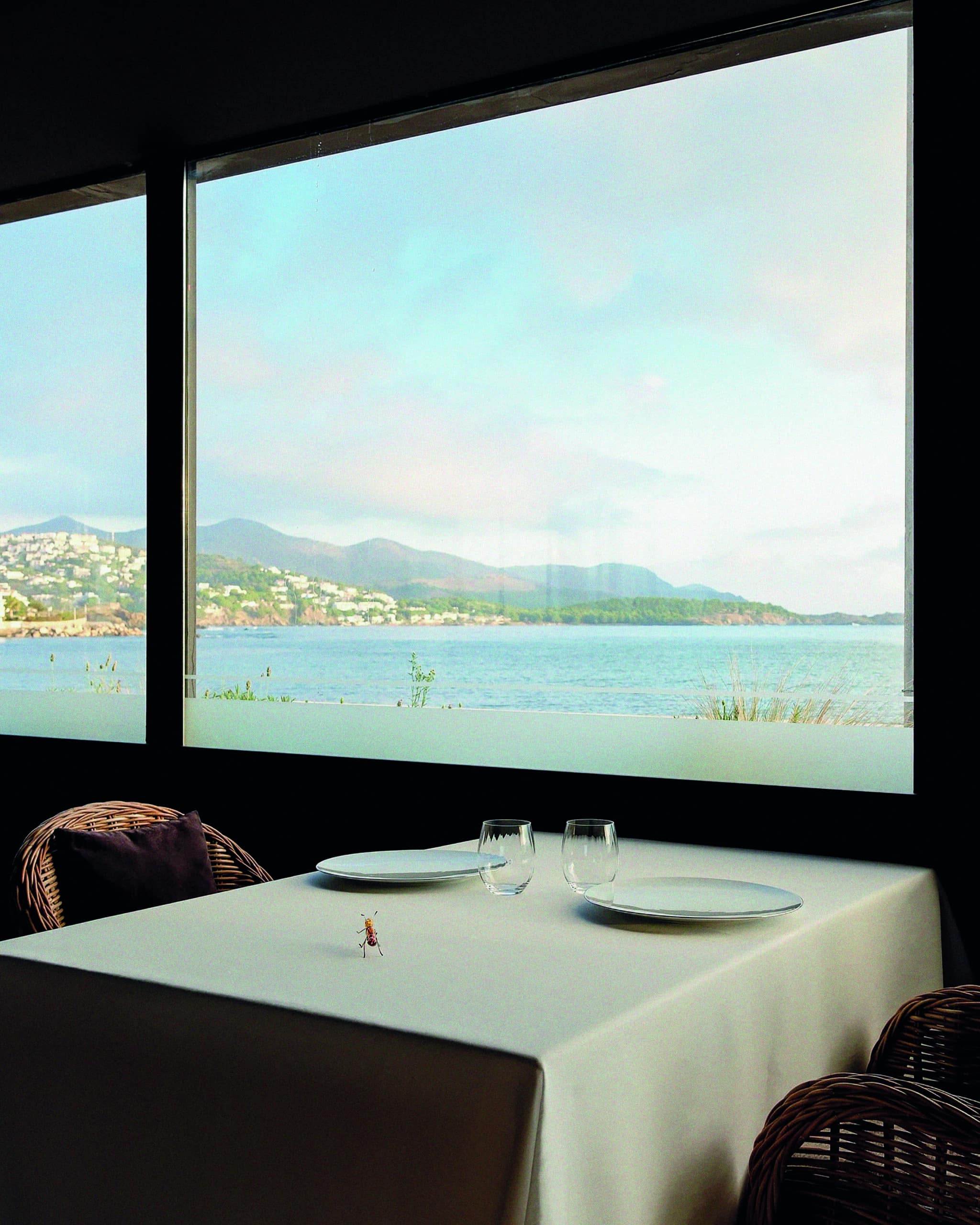 472442372 18480527962044620 1508506358101702981 n scaled