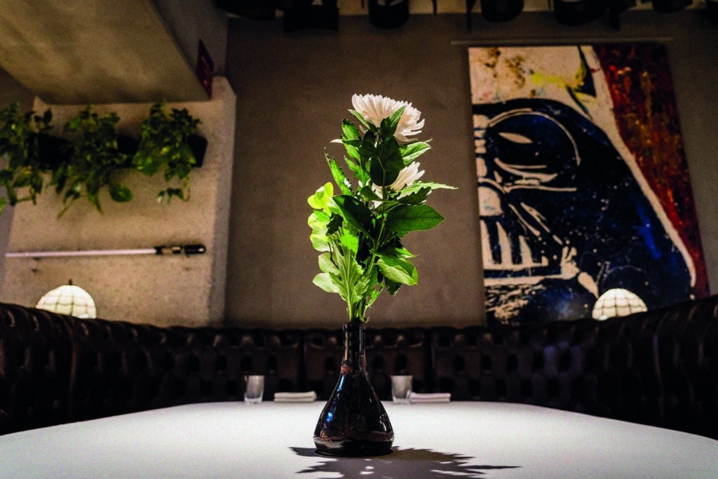 482200289 1736635893784107 3652229219189878682 n