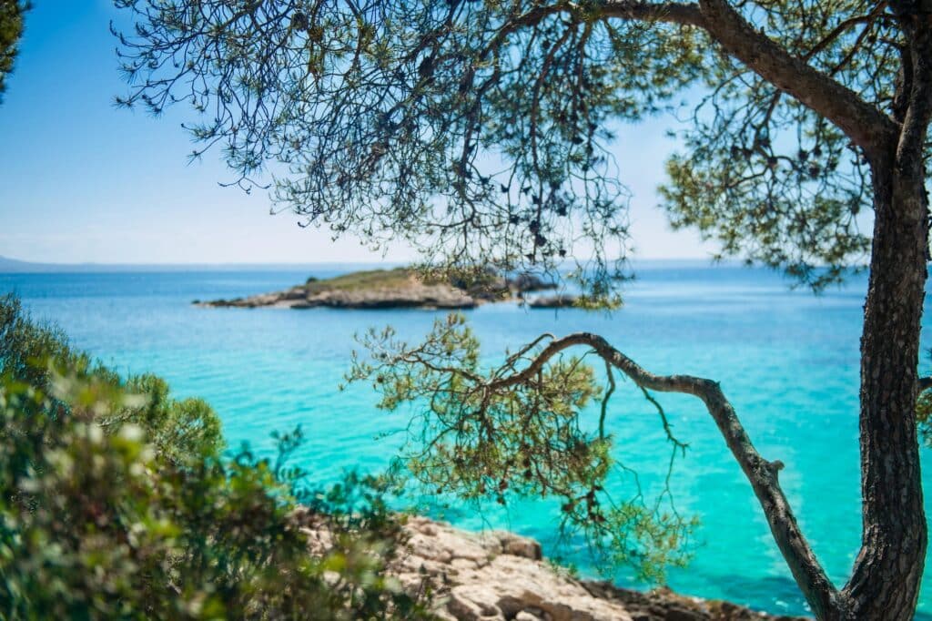 BAF7D5B0 9E35 4DD3 B1F6 D660AC4C7B9E