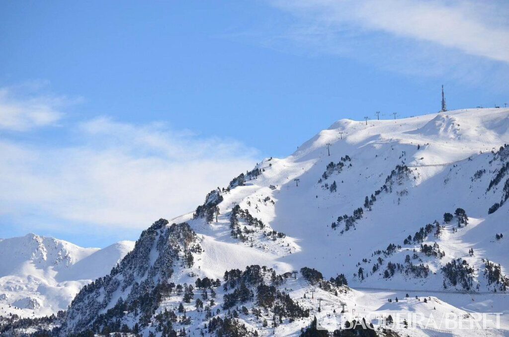 WhatsApp Image 2026 03 13 at 00.44.48 3