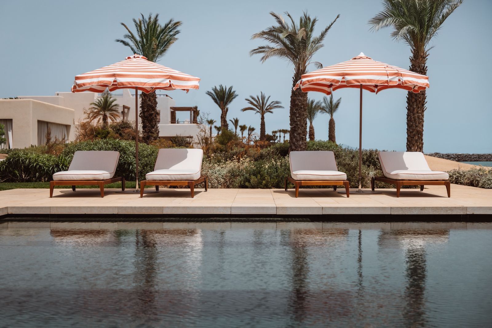 WhatsApp Image 2026 03 15 at 01.25.33