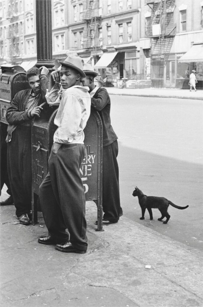 WhatsApp Image 2026 03 19 at 07.48.30 2