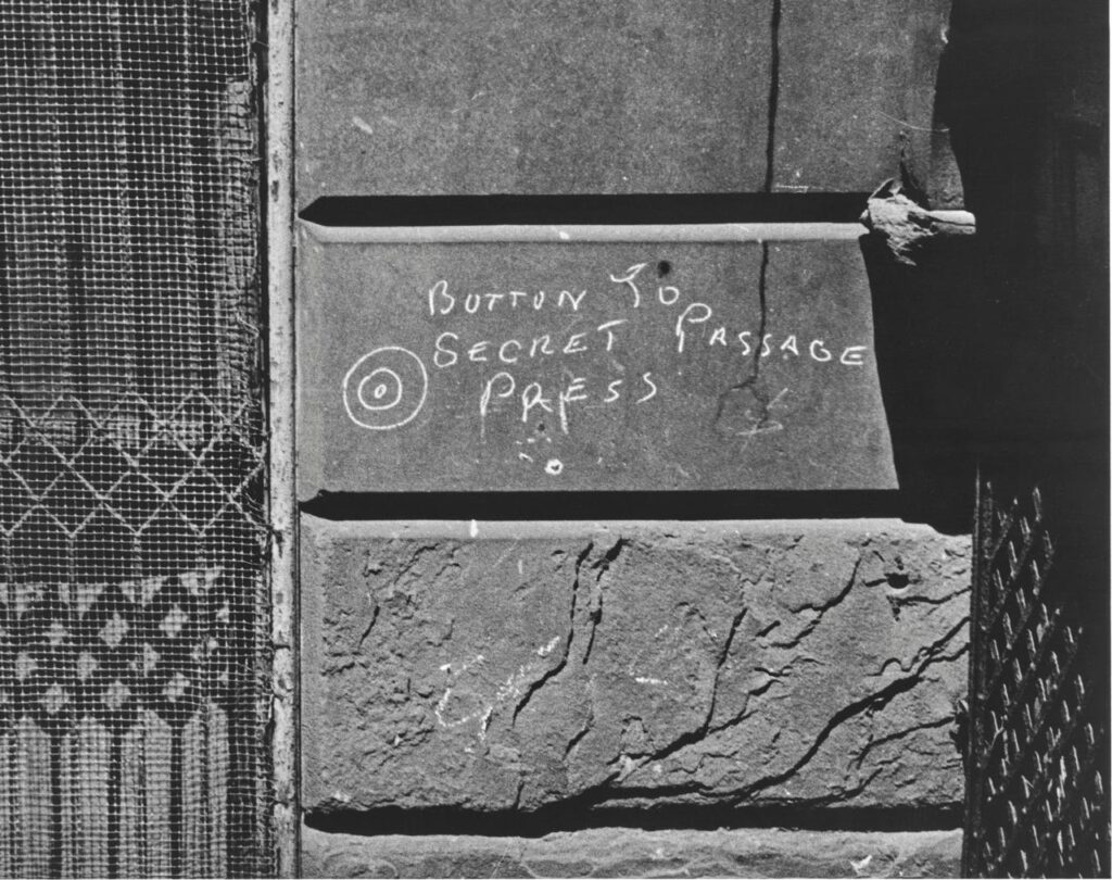 WhatsApp Image 2026 03 19 at 07.48.30 3