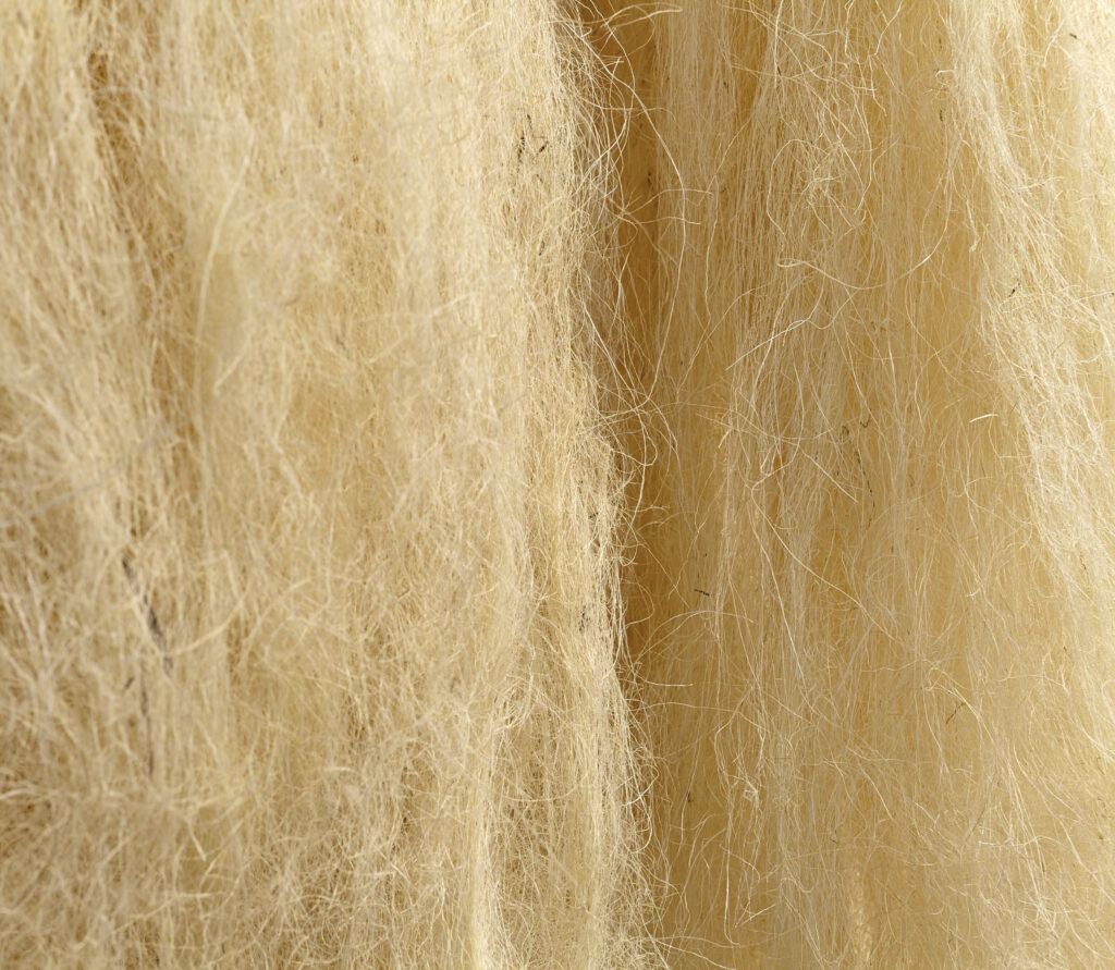 8888840 c61dd891 a9bc a43a 0a6b b4ec25667439