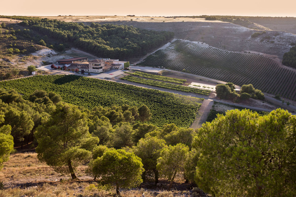 Bodega Conde de San Cristobal