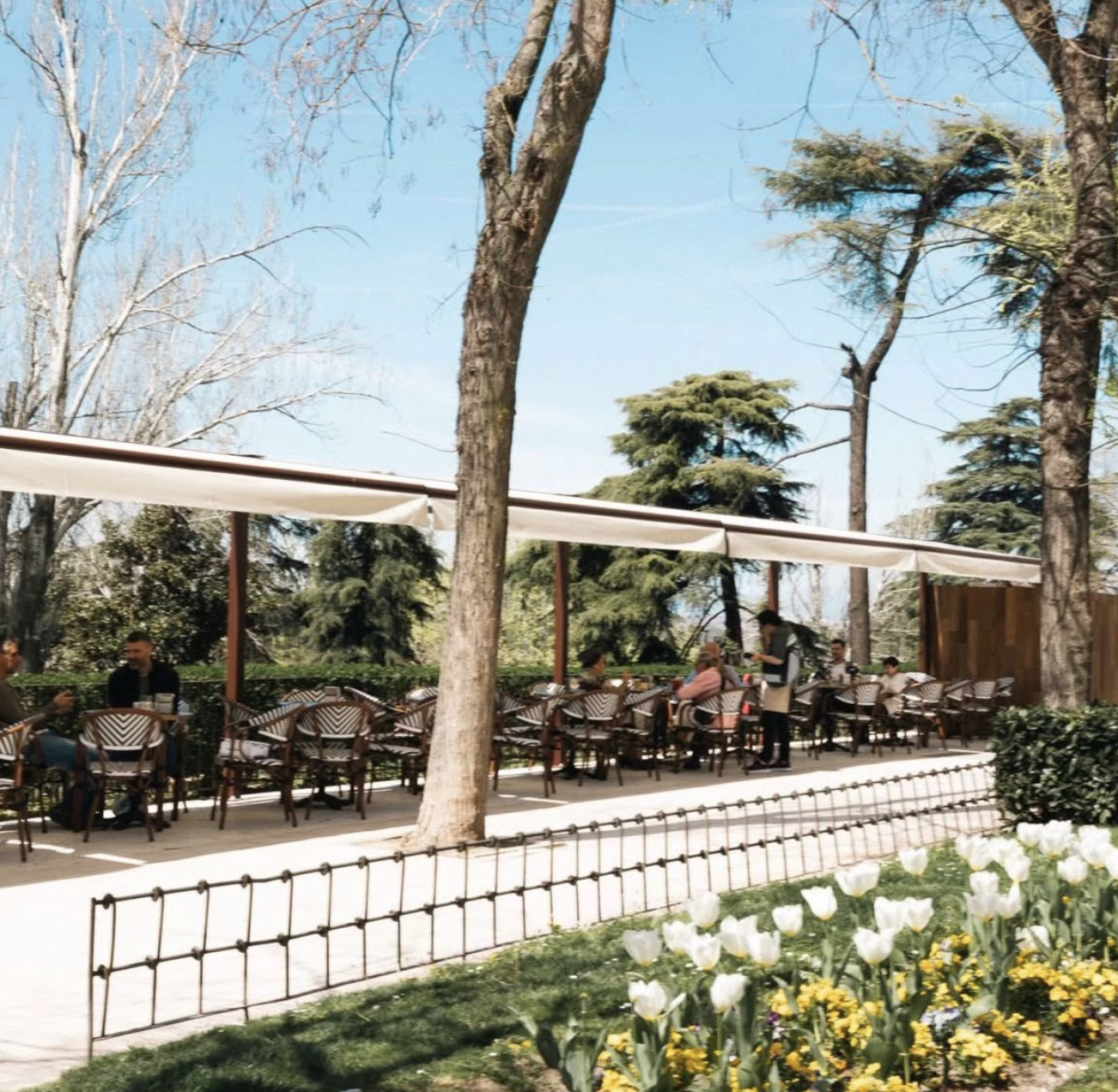 Captura de pantalla 2026 04 03 a las 10.55.04