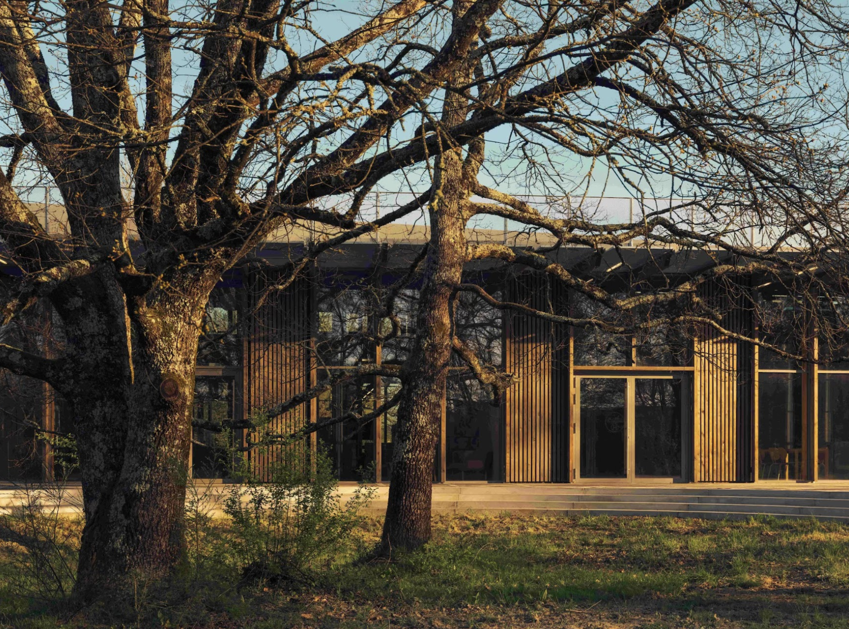 Captura de pantalla 2026 04 17 a las 17.02.49