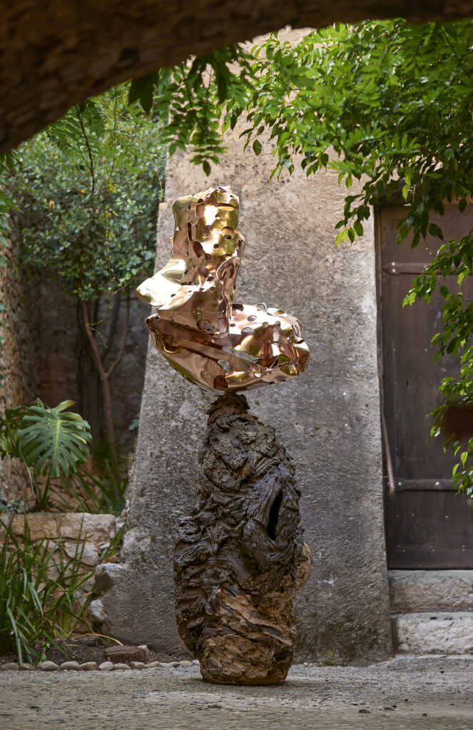 ArneQuinze Aecera 250403 ©DaveBruel