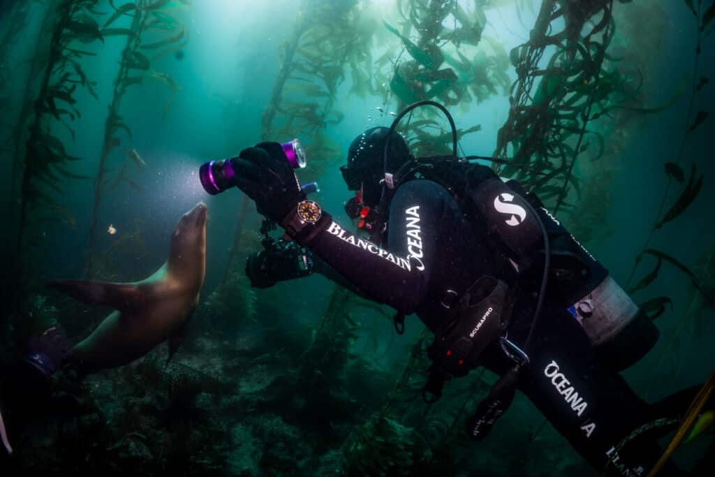 BOC Californias Channel Islands Expedition © Jason Heaton