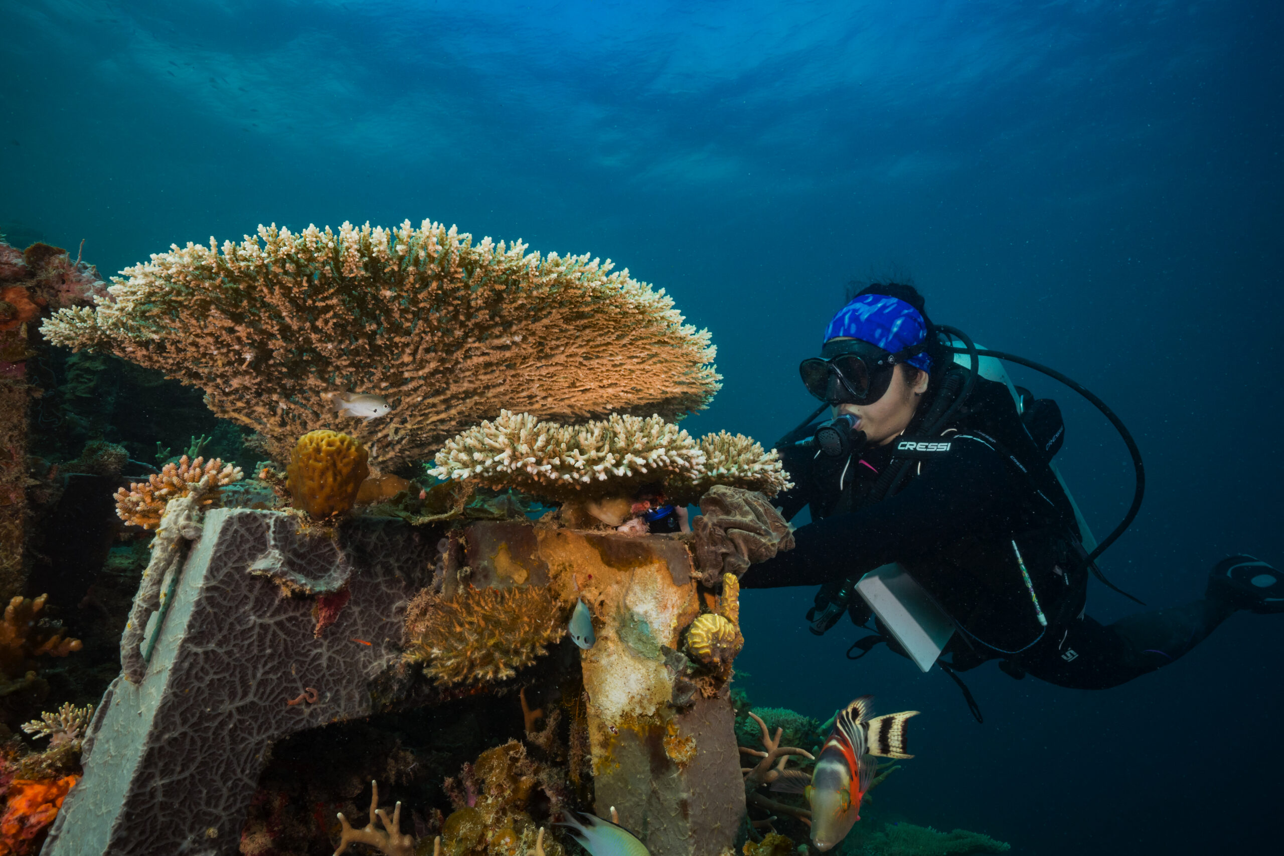 Blancpain convierte el tiempo submarino en una herramienta de exploración 4 BOC Sulubaai Sea Academy Programme scaled