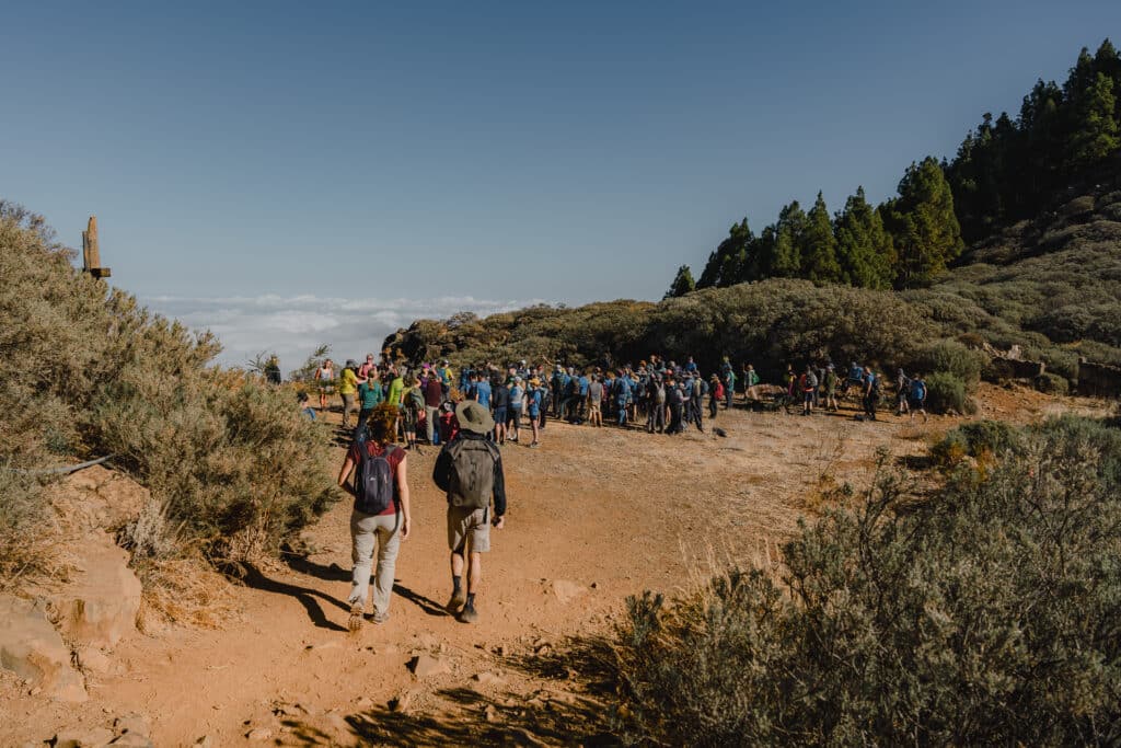 Cuando el paisaje marca el paso 12 Gran Canaria Walking Festival1