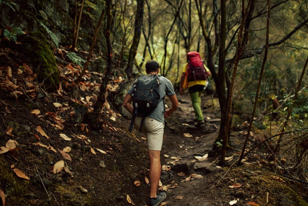 Gran Canaria a ritmo de sendero 6 Gran Canaria Walking Festival Valleseco