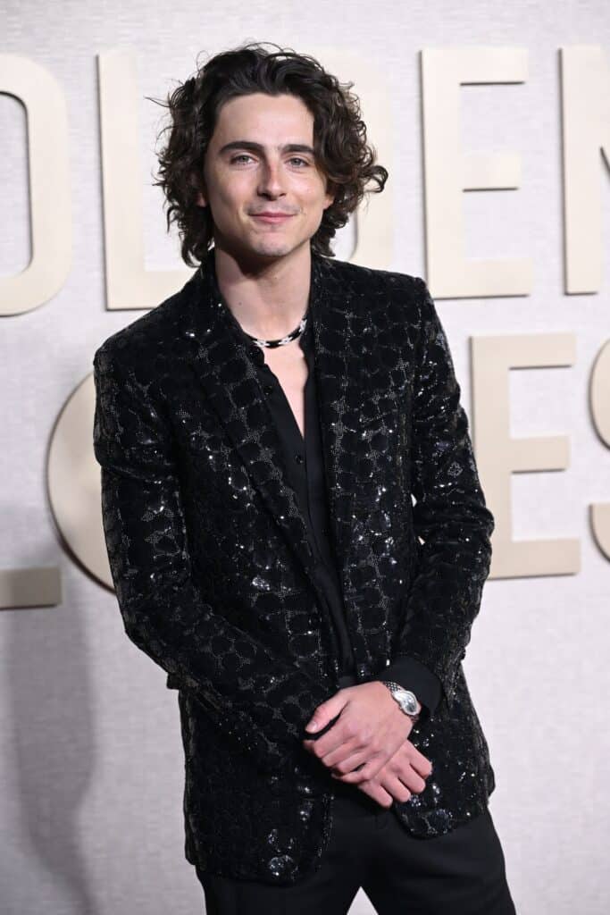Timothée Chalamet y la estética del tiempo 2 IMG 0570