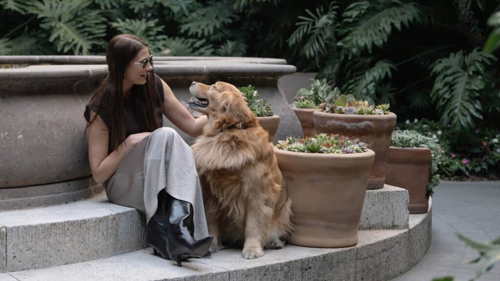 Ia DESCARGAR FOTOS — Four Seasons Hotel Mexico City Pampered Puppies