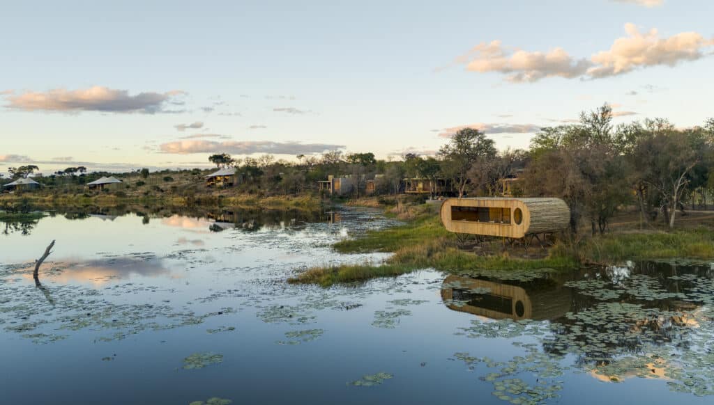 Sandringham Private Game Reserve: la renovación y admiración de la naturaleza 4 IMG 3428