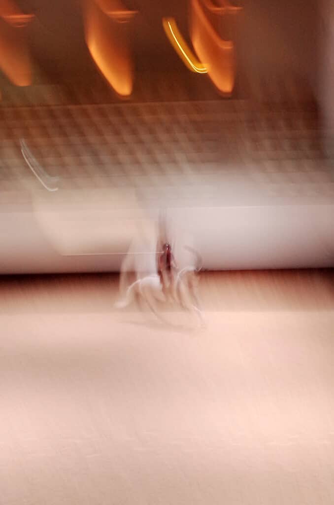 cover 4